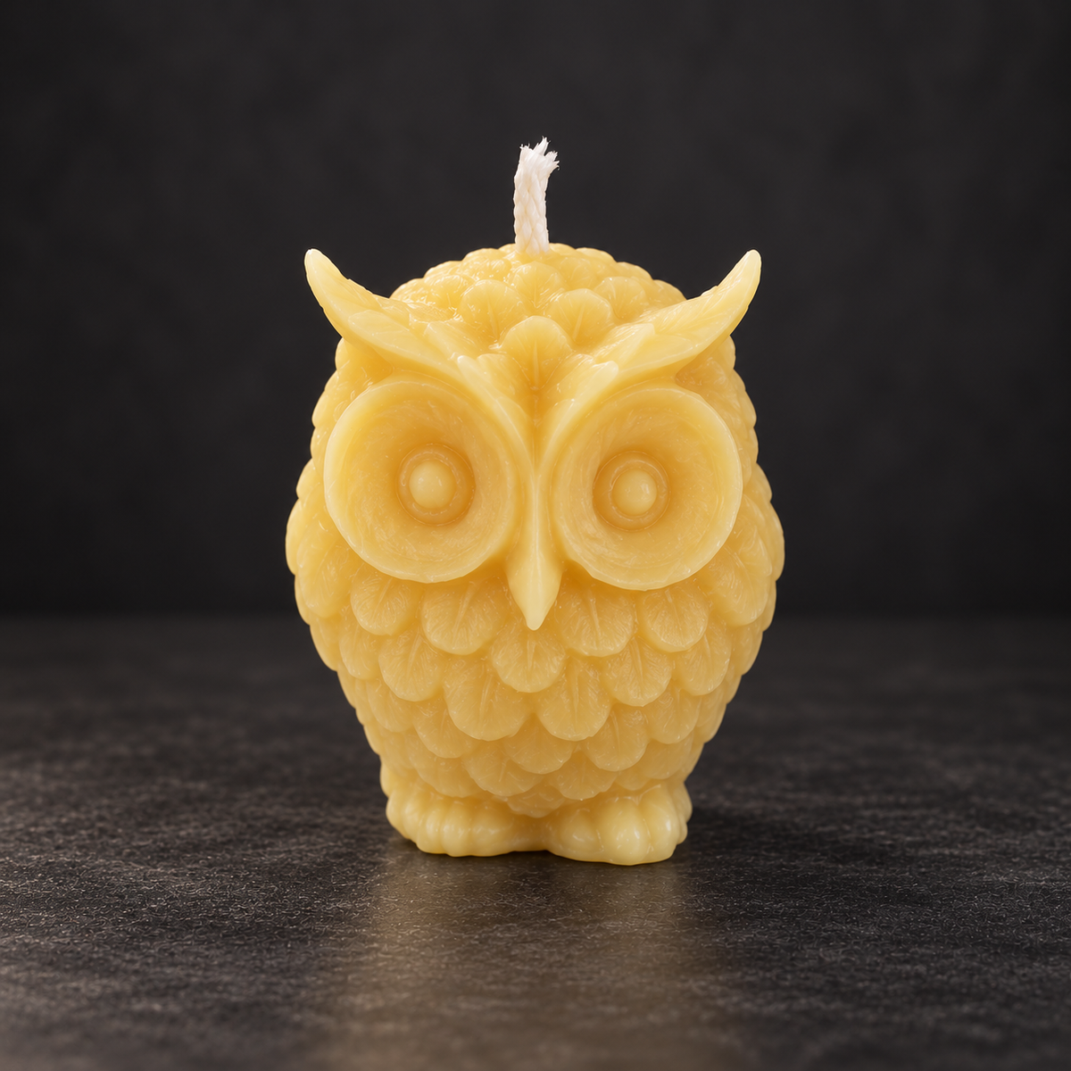 Little Wise Owl | Handmade Soy Wax Candle