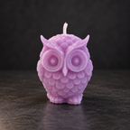 Little Wise Owl | Handmade Soy Wax Candle