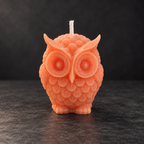 Little Wise Owl | Handmade Soy Wax Candle