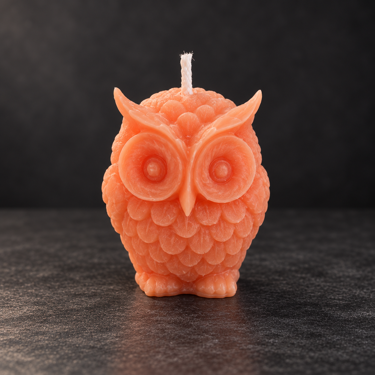 Little Wise Owl | Handmade Soy Wax Candle