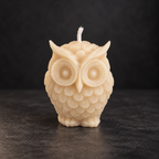 Little Wise Owl | Handmade Soy Wax Candle