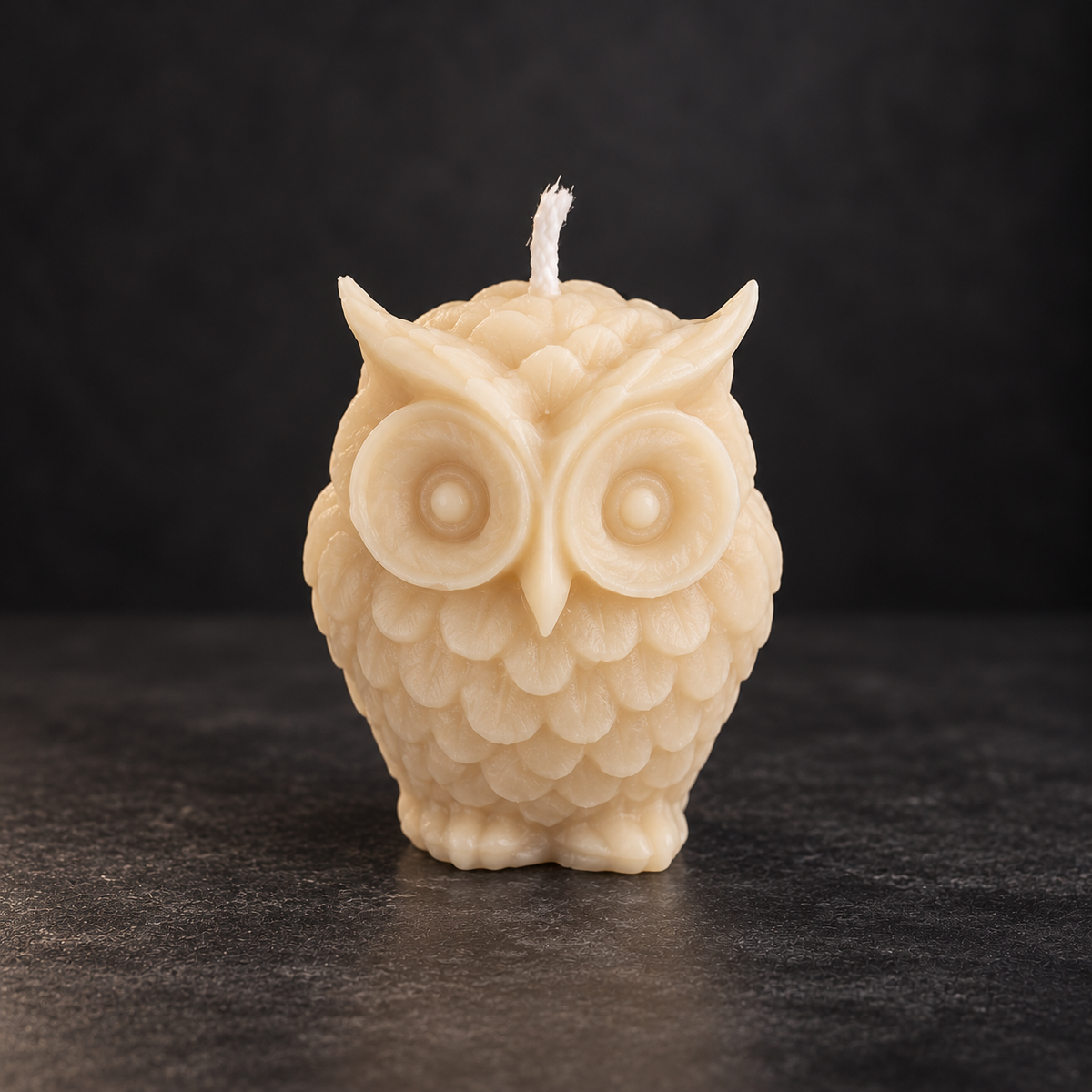 Little Wise Owl | Handmade Soy Wax Candle